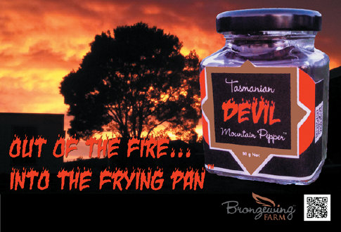 Out of the Fire, Into the Frying Pan