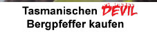 tasmanischer_berg_pfeffer_2021v1001002.jpg